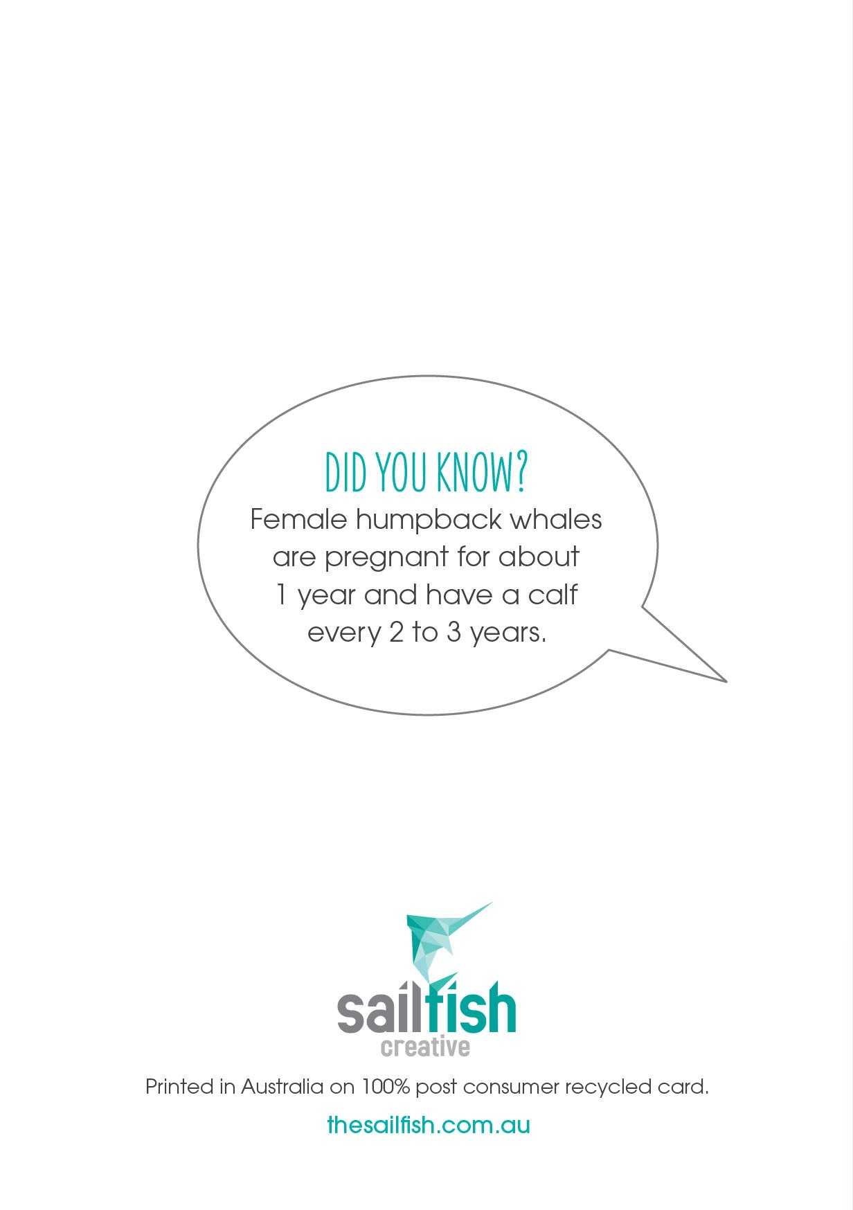 Other Card - Humpback whales - Sailfish Creative