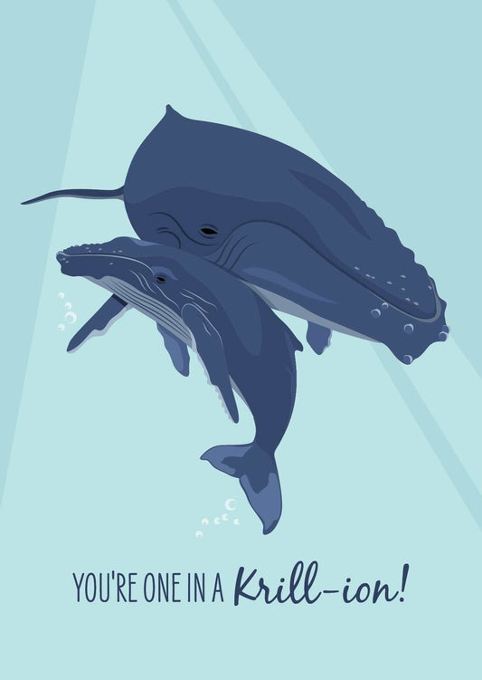 Other Card - Humpback whales - Sailfish Creative