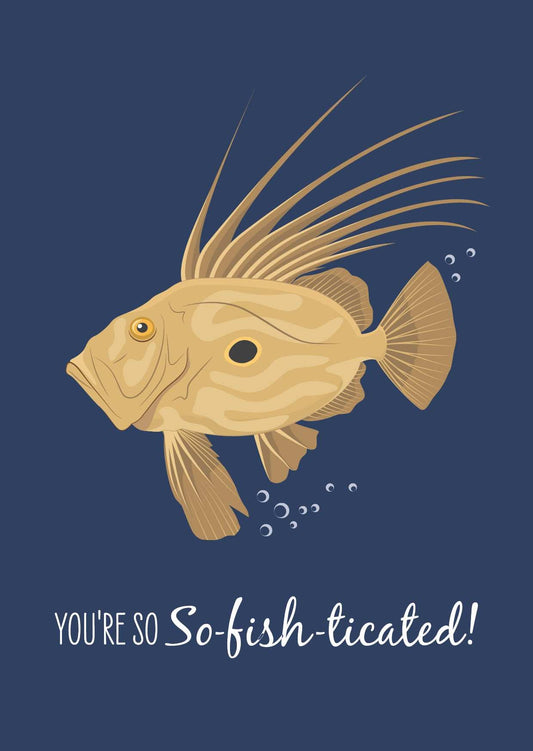 Other Card - John Dory - Sailfish Creative