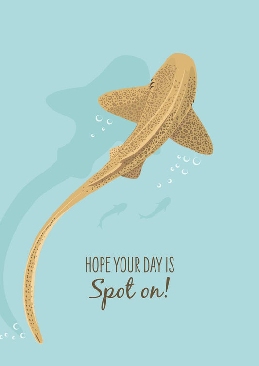 Other Card - Leopard Shark - Sailfish Creative