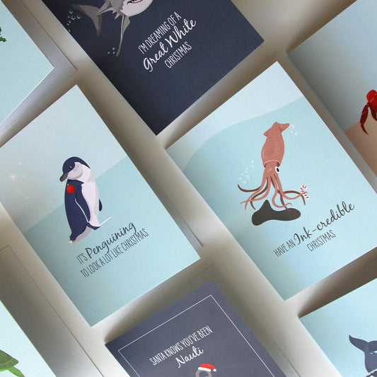 Christmas Cards 10 Pack with funny marine animal designs and envelopes for ocean lovers