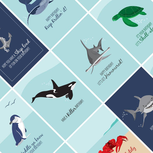 Birthday Cards 10 Pack with marine animal designs including whale, turtle, shark, penguin, and orca, perfect for ocean lovers.