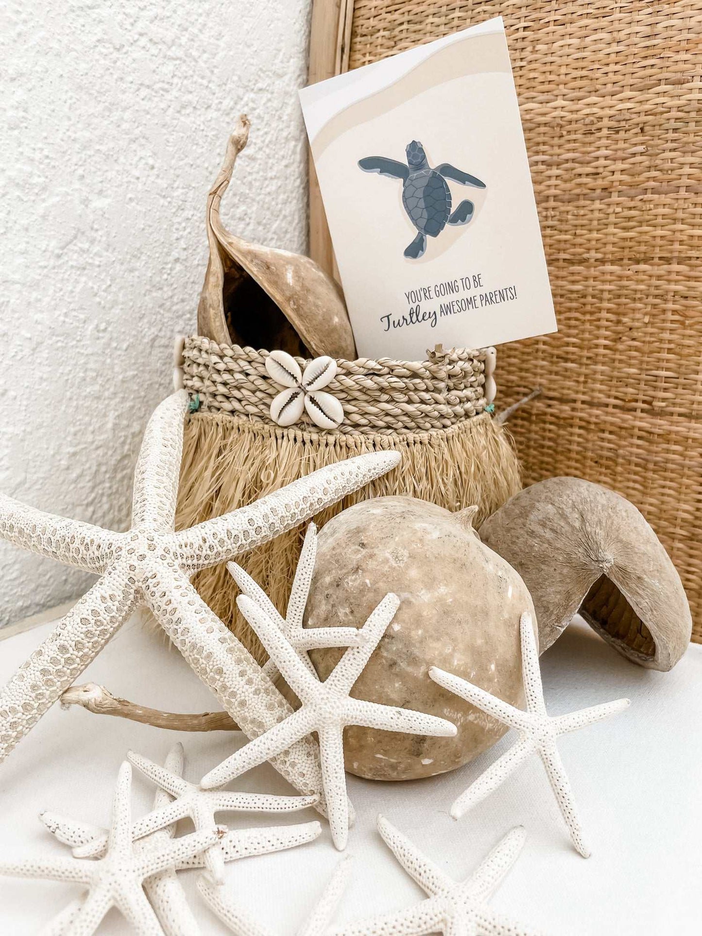 Baby Card - Baby Turtle - Sailfish Creative