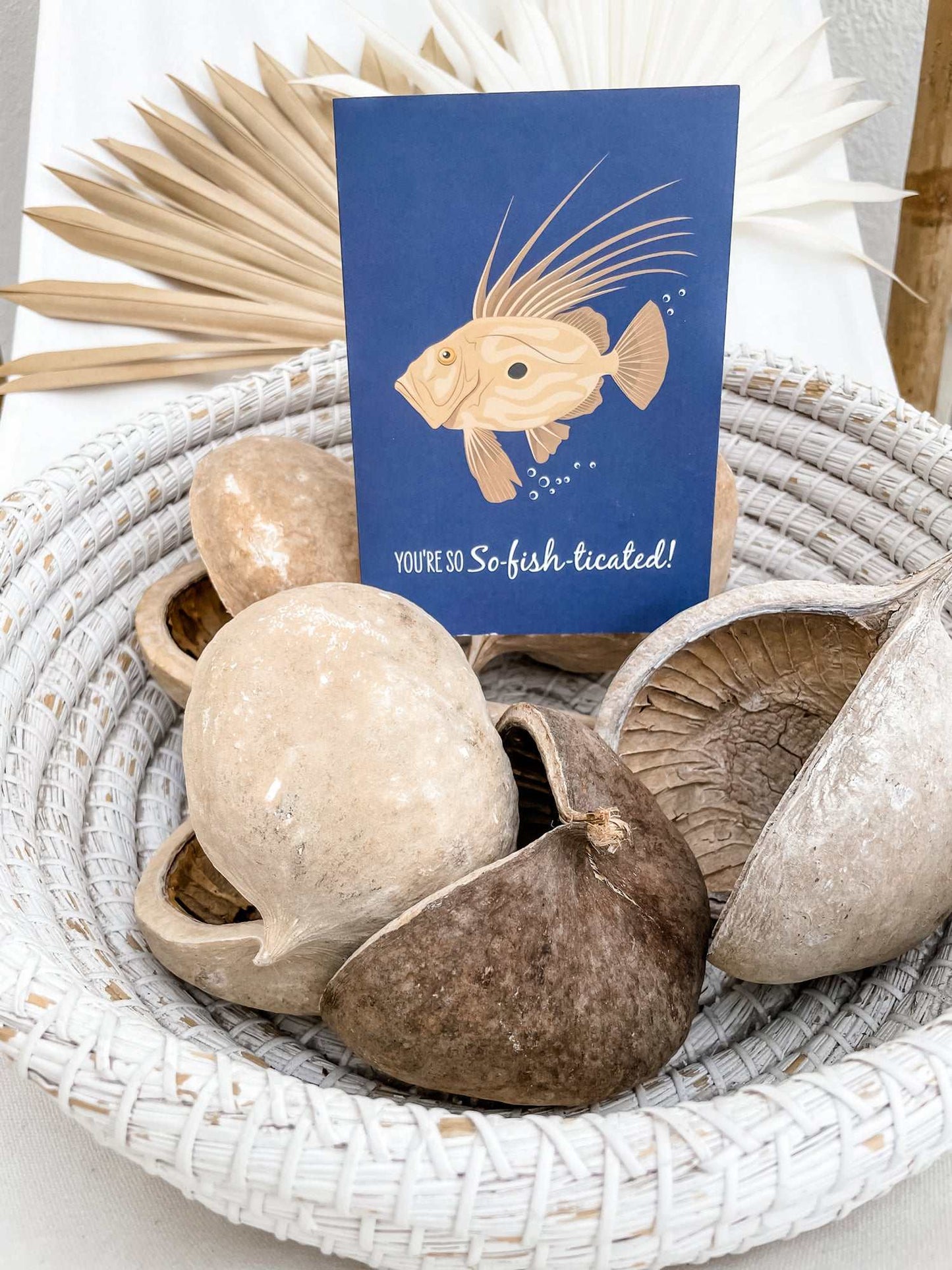 Other Card - John Dory - Sailfish Creative