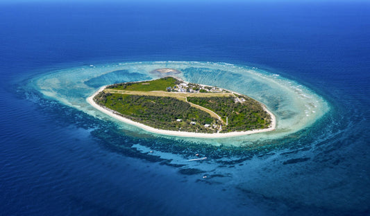 Lady Elliot Island: Home of the Manta Ray