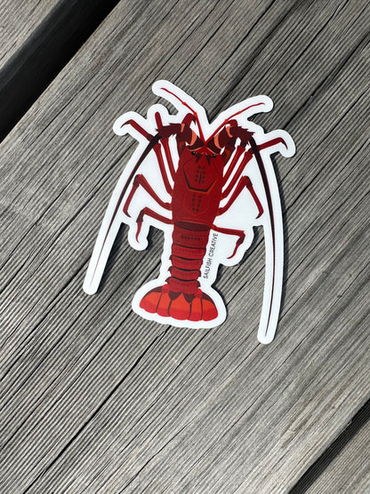 Sticker - Crayfish Rock Lobster - Sailfish Creative