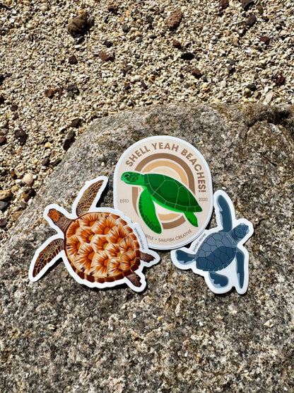 Juvenile Green Turtle sticker printed on durable vinyl with matte laminate, 100mm x 100mm size