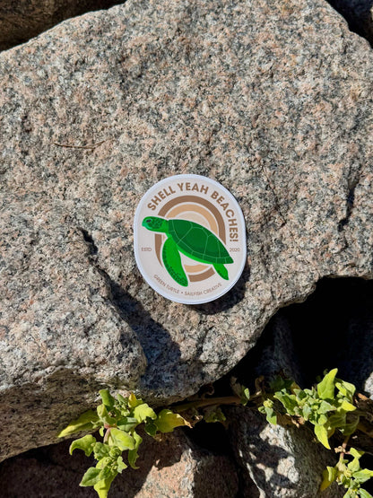 Green Turtle sticker with funny pun, durable matte vinyl, 100mm x 85mm, indoor/outdoor use