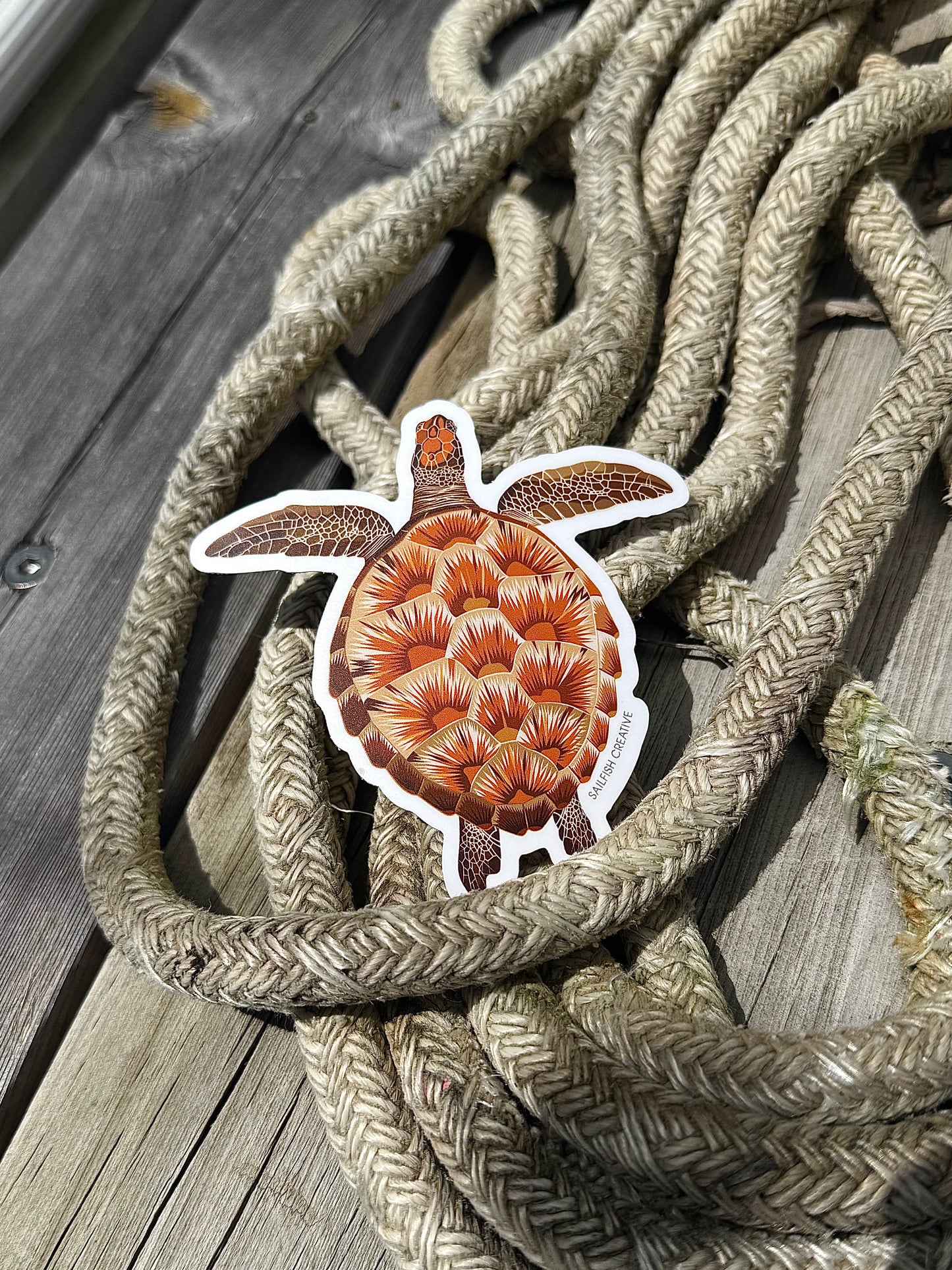 Sticker - Juvenile Green Turtle