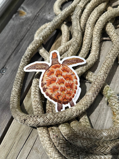 Sticker - Juvenile Green Turtle