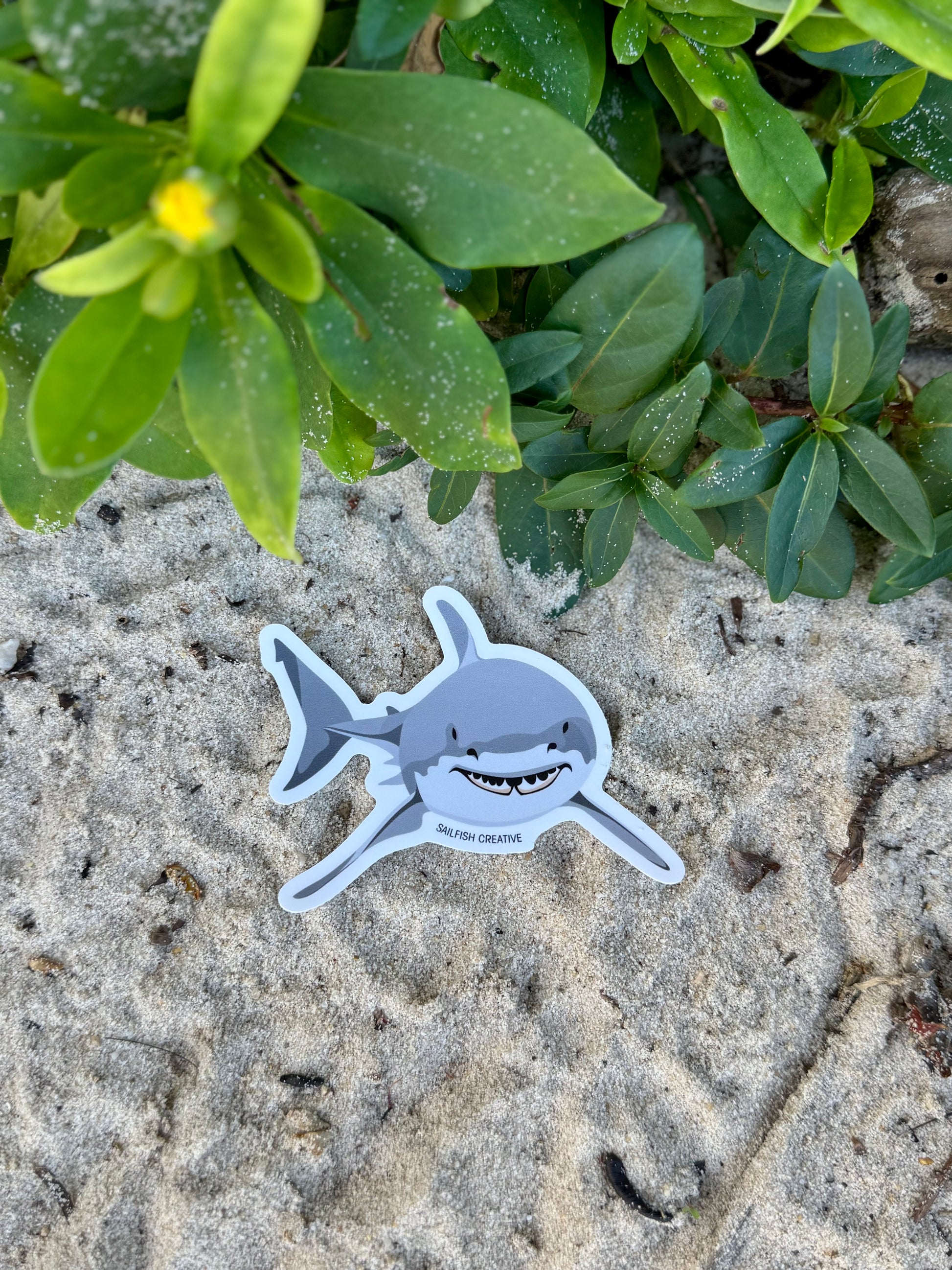 Sticker - Great White Shark - Sailfish Creative