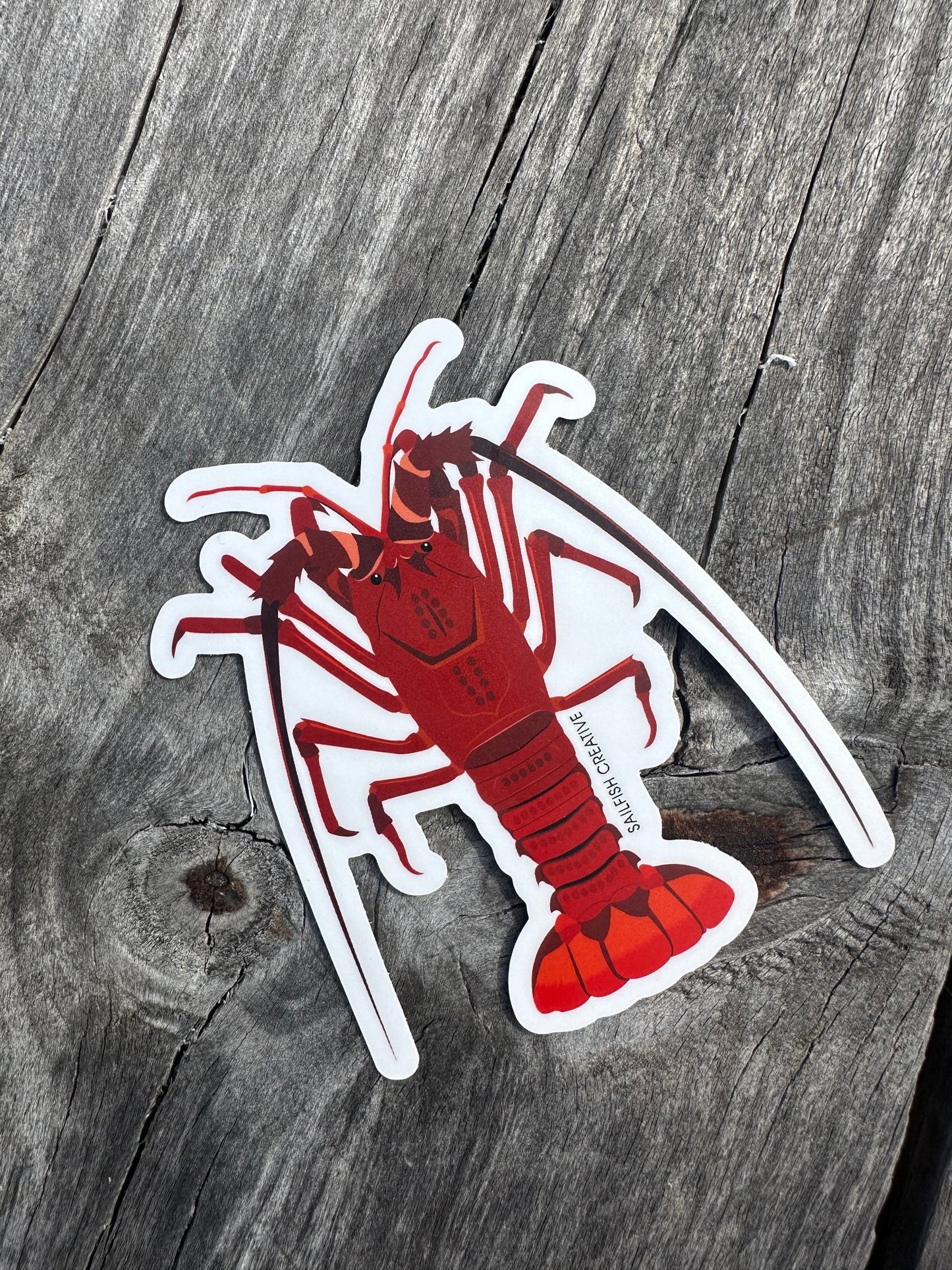 Sticker - Crayfish Rock Lobster - Sailfish Creative