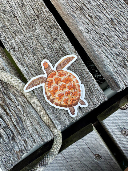 Sticker - Juvenile Green Turtle