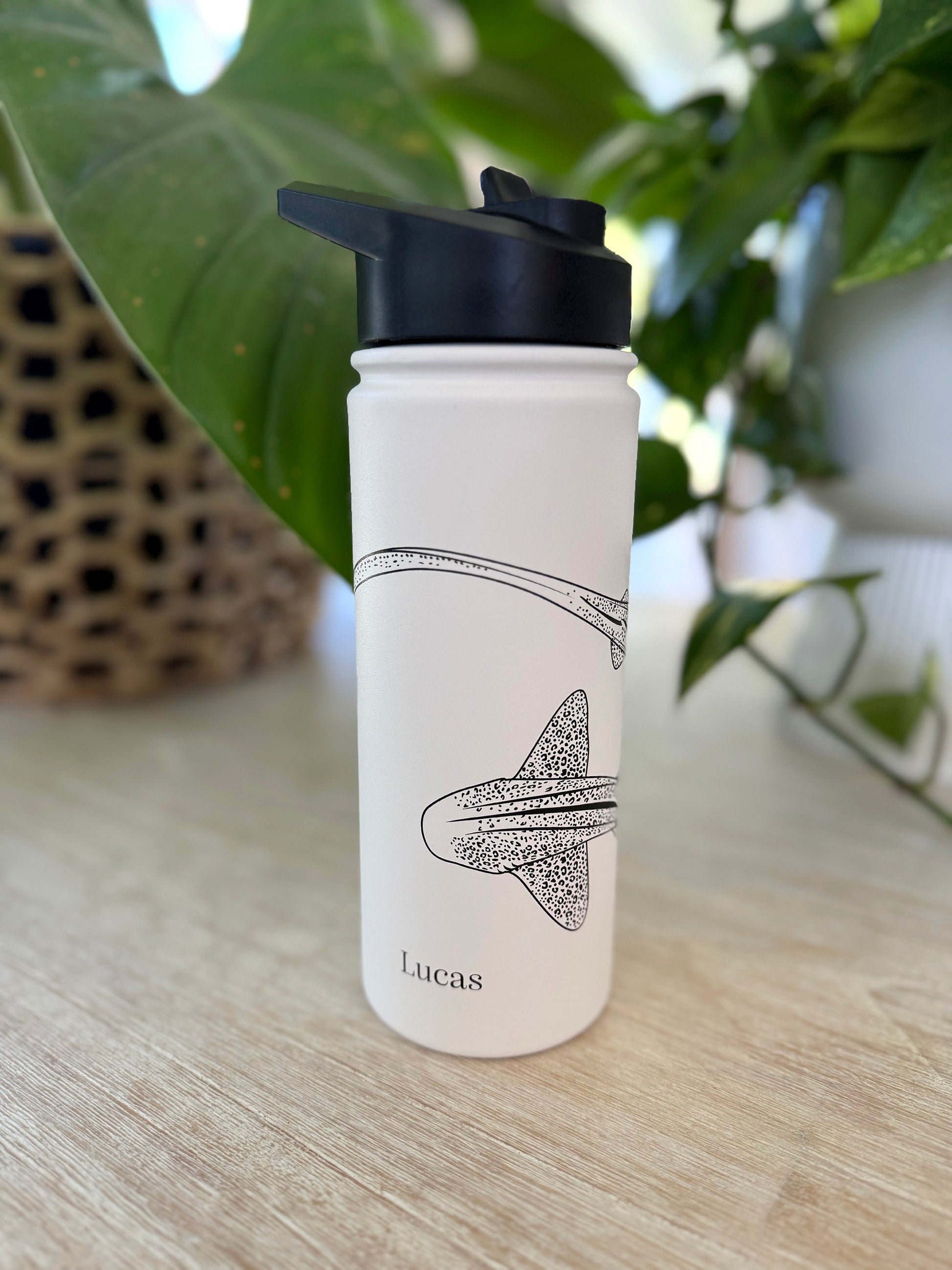 PERSONALISED Stainless Steel Water Bottle - Sailfish Creative