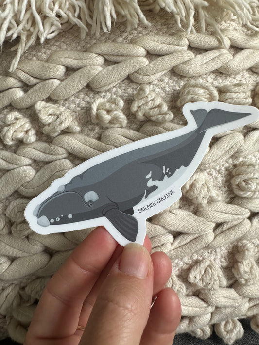 Sticker - Southern Right Whale - Sailfish Creative