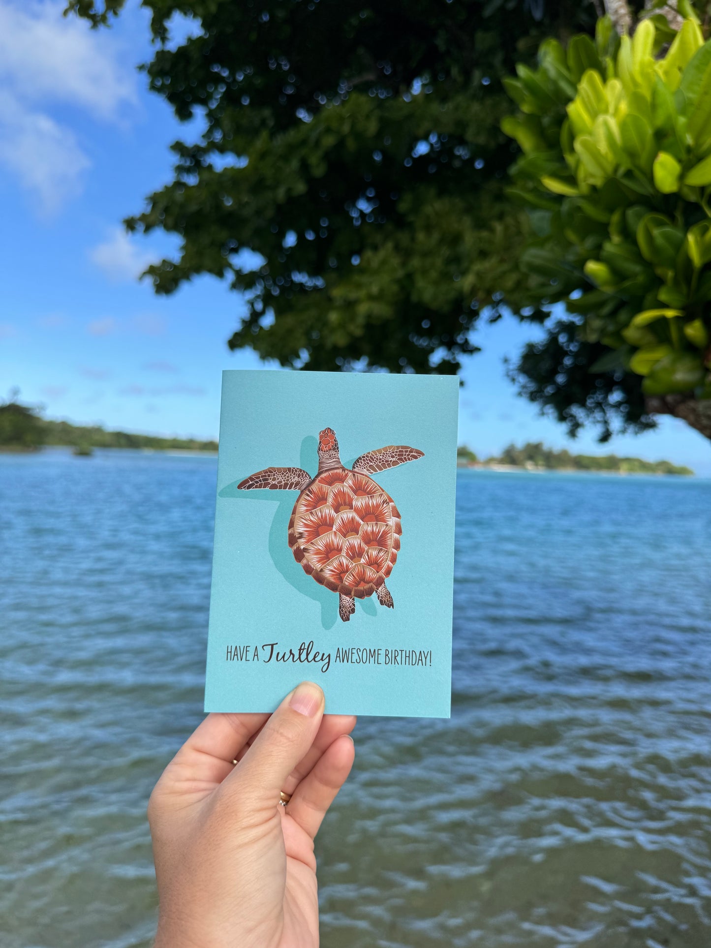 Birthday Card - Juvenile Green Turtle