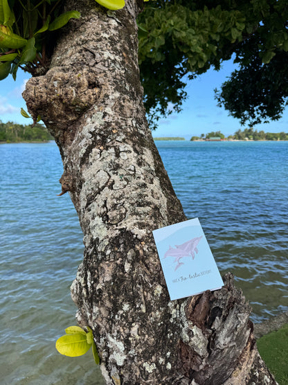 Birthday Card - Bottlenose Dolphins