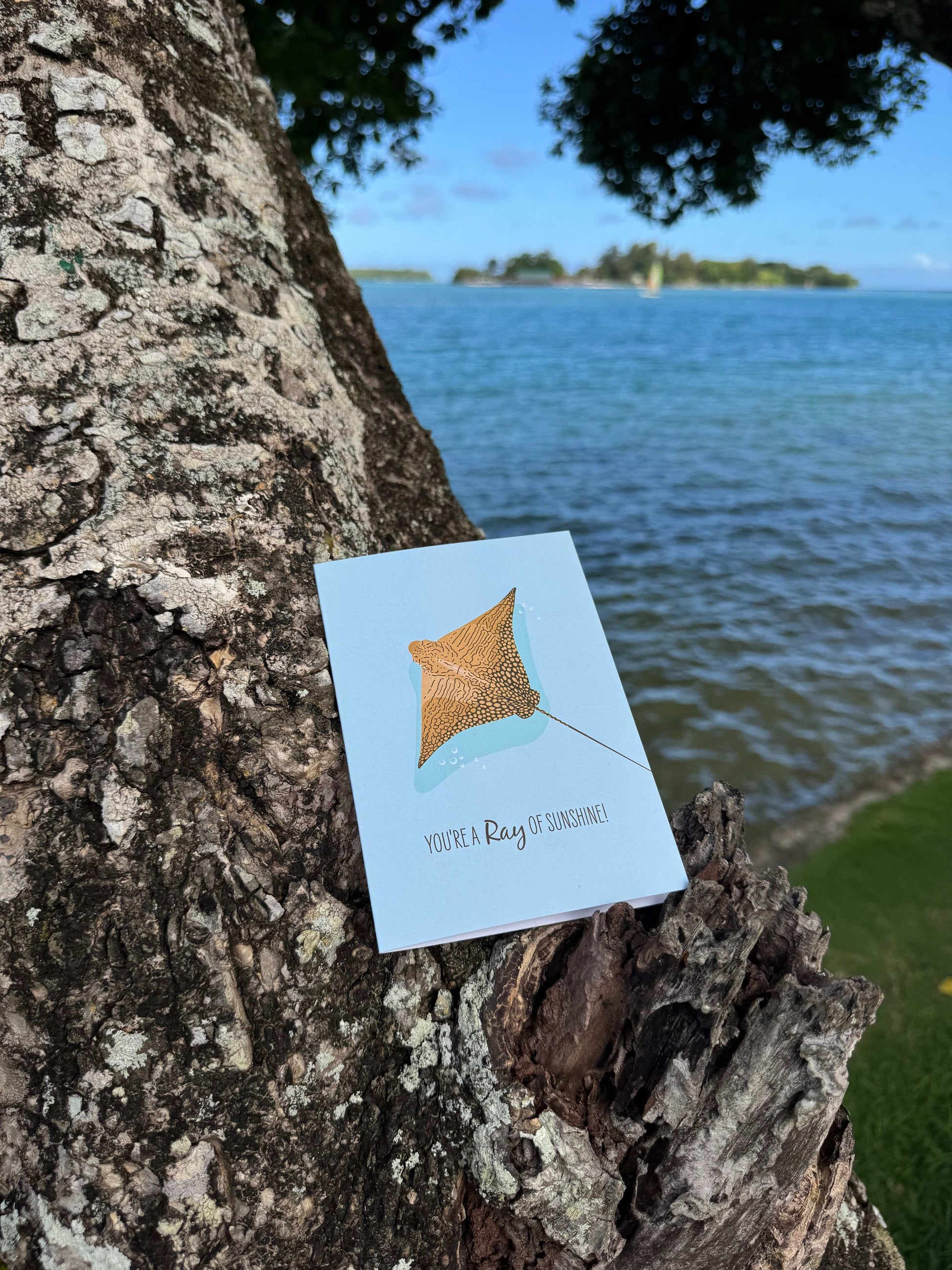 Ornate Eagle Ray greeting card with ocean background and envelope for ocean lovers