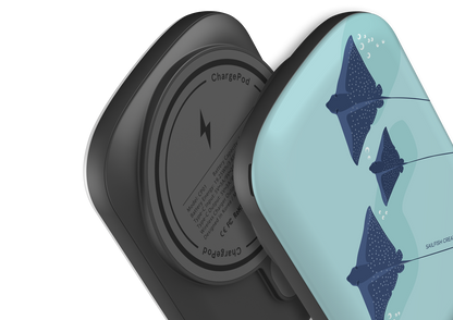 MagSafe Charge Pod - Eagle Rays