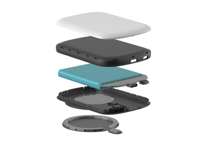 MagSafe Charge Pod - Leopard Sharks