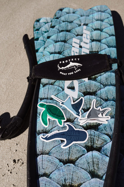 Sticker - Hammerhead Shark - Sailfish Creative