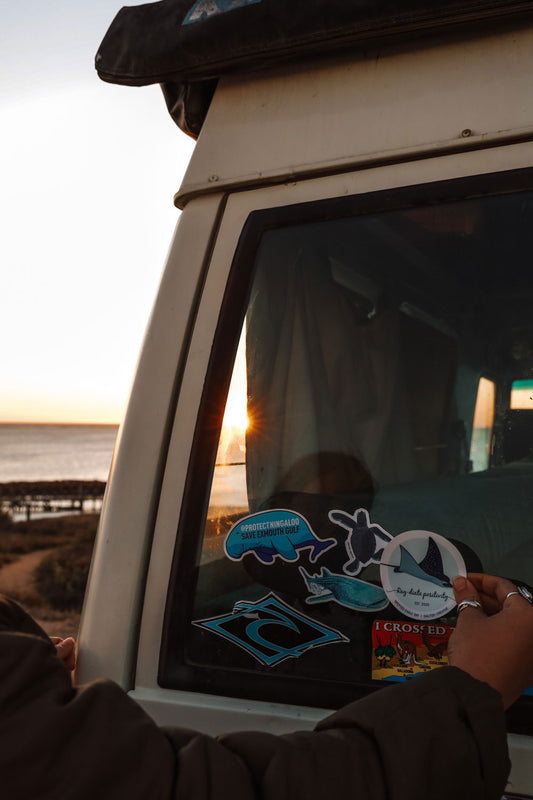 Sticker - Eagle Ray Pun - Sailfish Creative