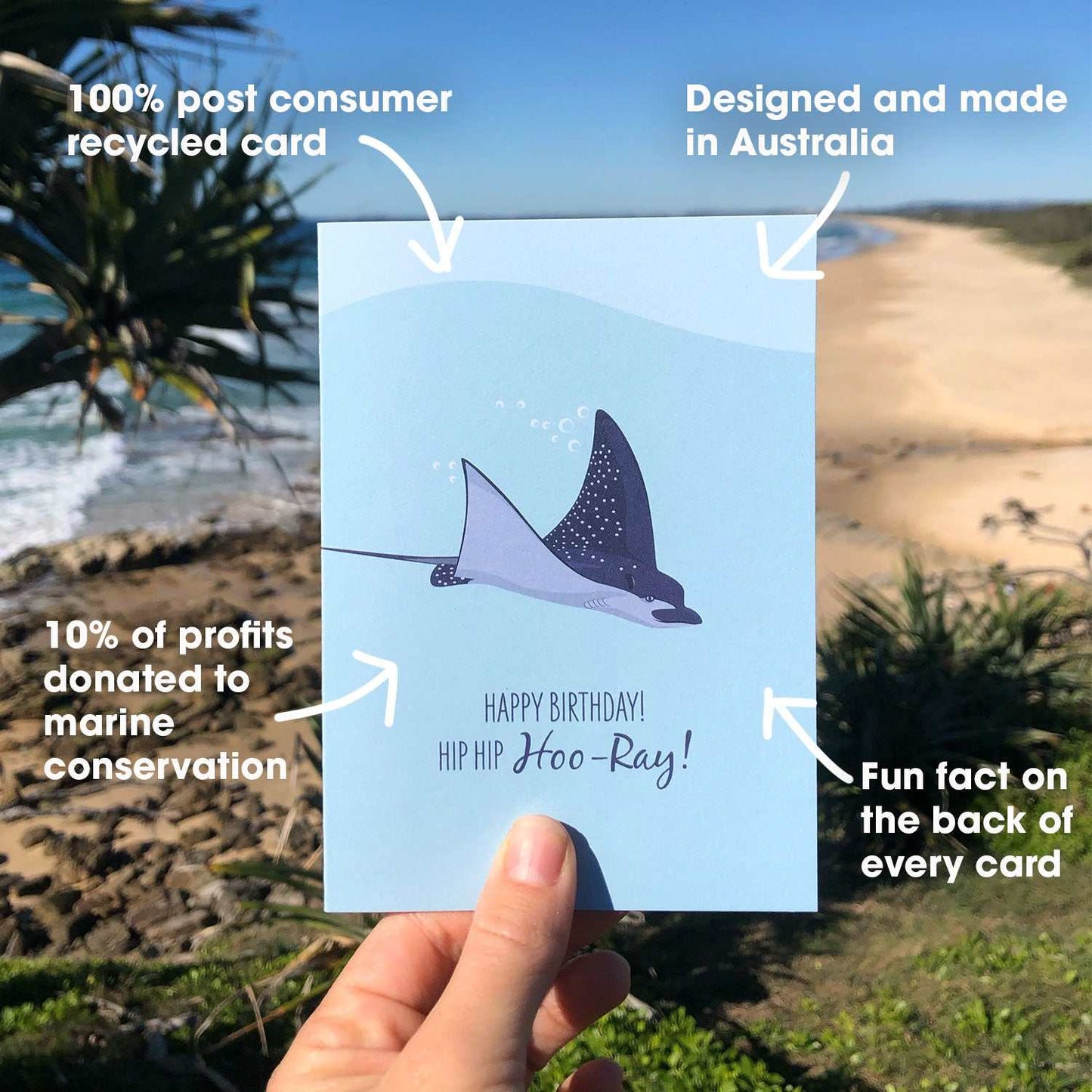 Birthday Card - Spotted Eagle RayThis funny Spotted Eagle Ray Birthday greeting card with envelope is the perfect way to send an ocean lover some Birthday love.
BUILD YOUR OWN BUNDLE OF 10 CARDS FORGreeting CardsSailfish Creative