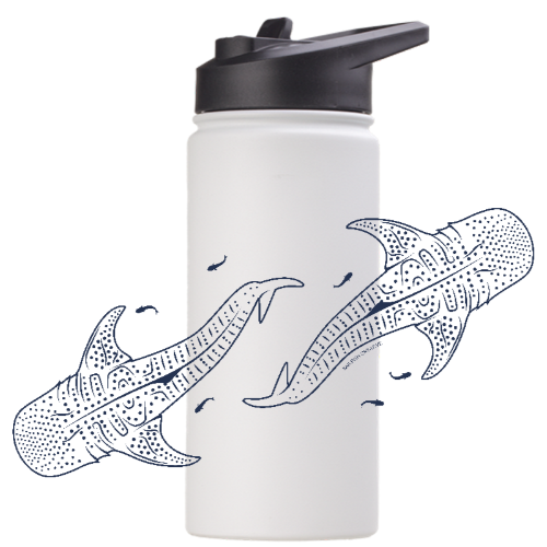Whale Sharks Line Art - Stainless Steel Water Bottle - Sailfish Creative