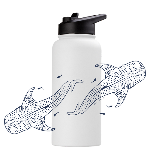 Whale Sharks Line Art - Stainless Steel Water Bottle - Sailfish Creative