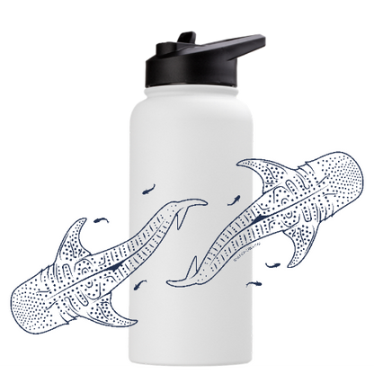 Whale Sharks Line Art - Stainless Steel Water Bottle - Sailfish Creative
