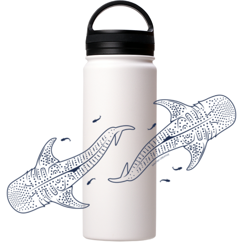 Whale Sharks Line Art - Stainless Steel Water Bottle - Sailfish Creative