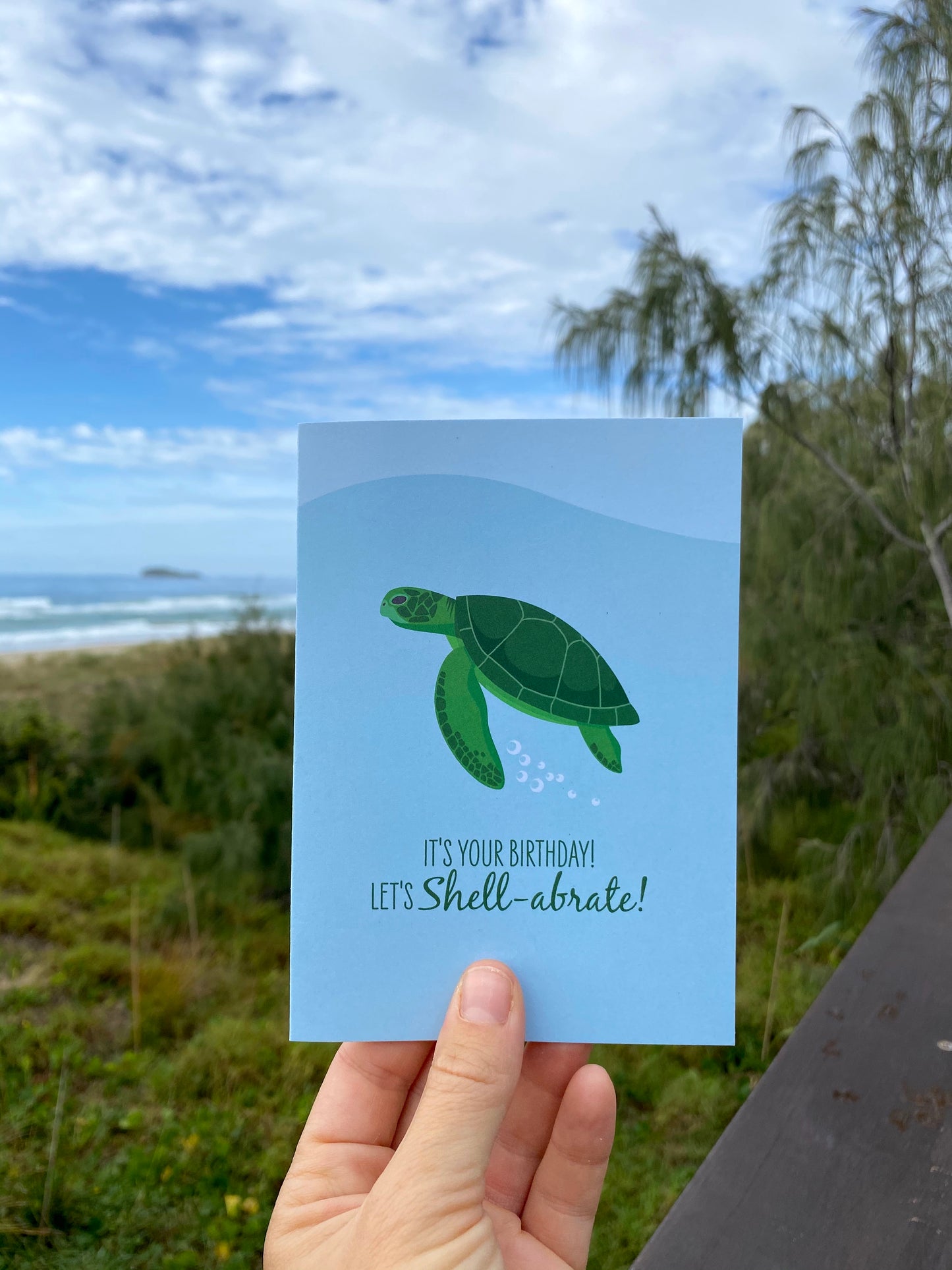 Birthday Card - Green Turtle - Sailfish Creative