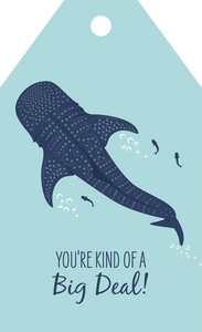 Gift Tag - Whale Shark