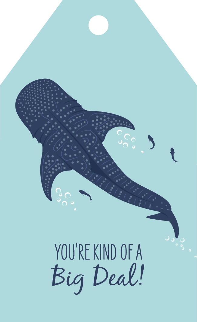 Gift Tag - Whale Shark