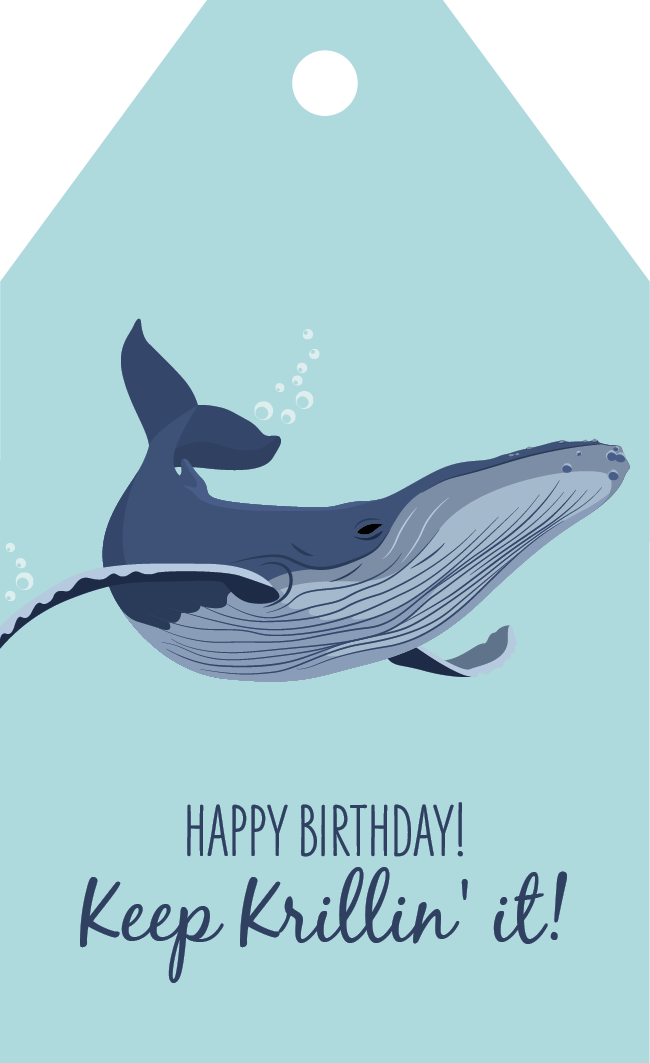 Birthday Gift Tag - Humpback Whale