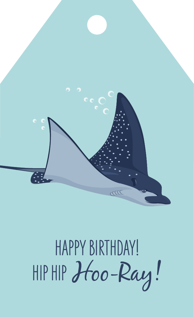 Birthday Gift Tag - Spotted Eagle Ray