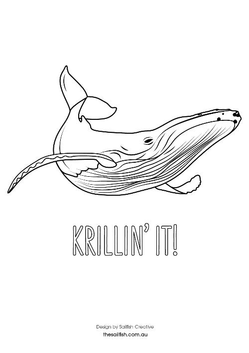 FREE PRINTABLE COLOURING SHEETS - Sailfish Creative