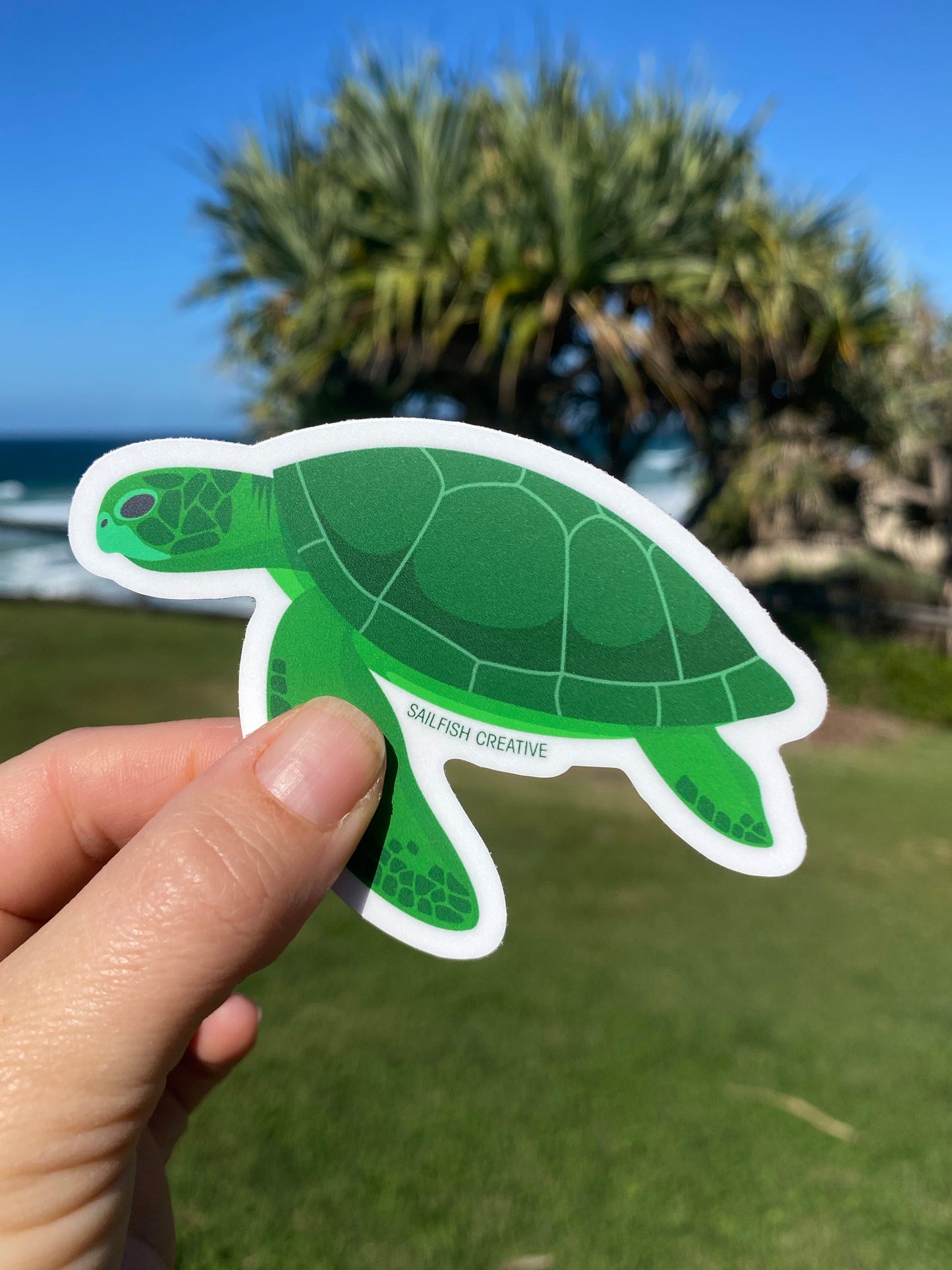 Sticker - Green Turtle - Sailfish Creative