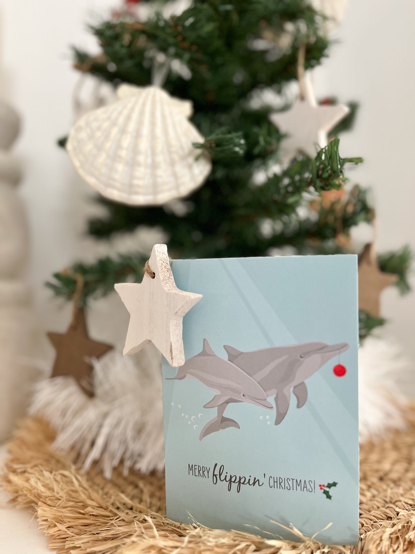 Christmas Card - Dolphins - Sailfish Creative