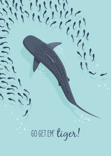Other Card - Tiger Shark