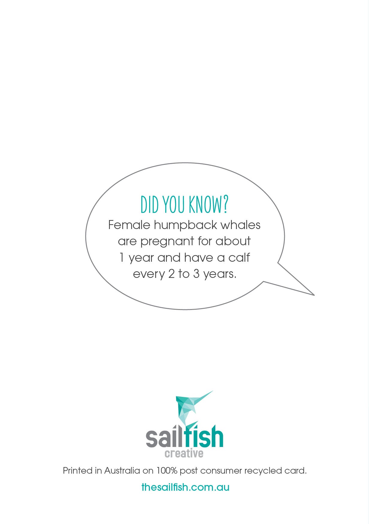 Other Card - Humpback whales - Sailfish Creative