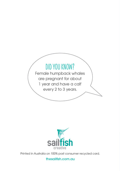 Other Card - Humpback whales - Sailfish Creative