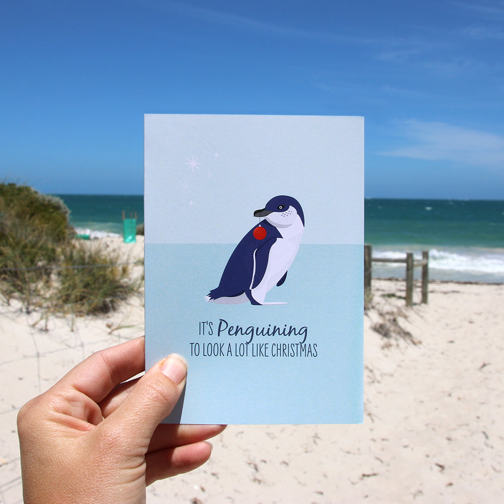 Christmas Card - Little Blue Penguin - Sailfish Creative