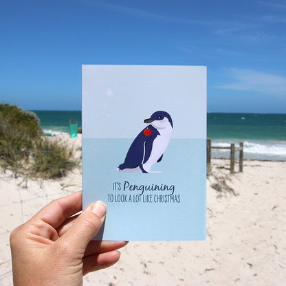 Christmas Card - Little Blue Penguin - Sailfish Creative