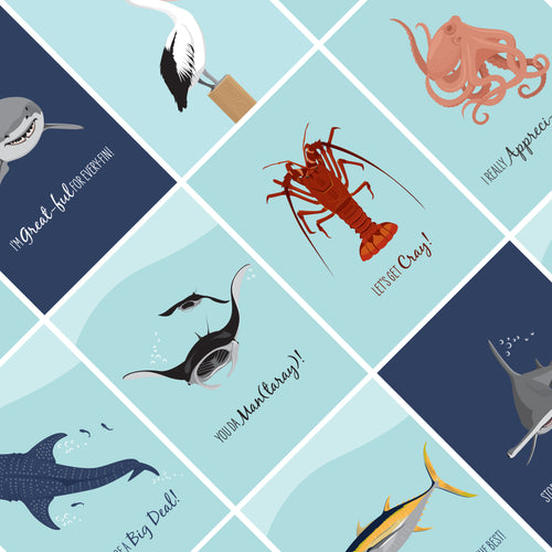 Other Cards 10 Pack - All Other Designs