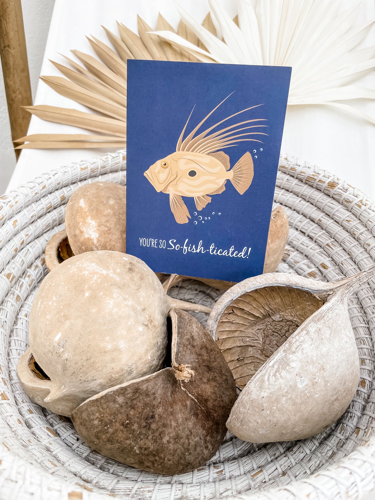 Other Card - John Dory - Sailfish Creative